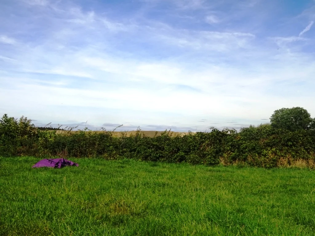 DSC03208.JPG