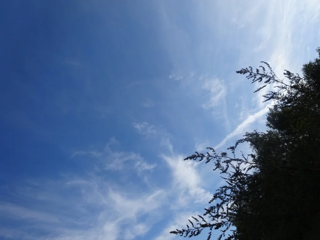 DSC03210.JPG