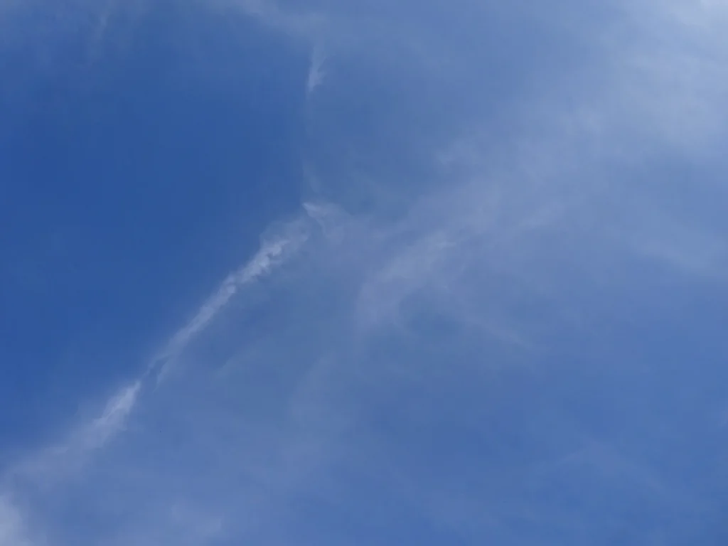DSC03221.JPG