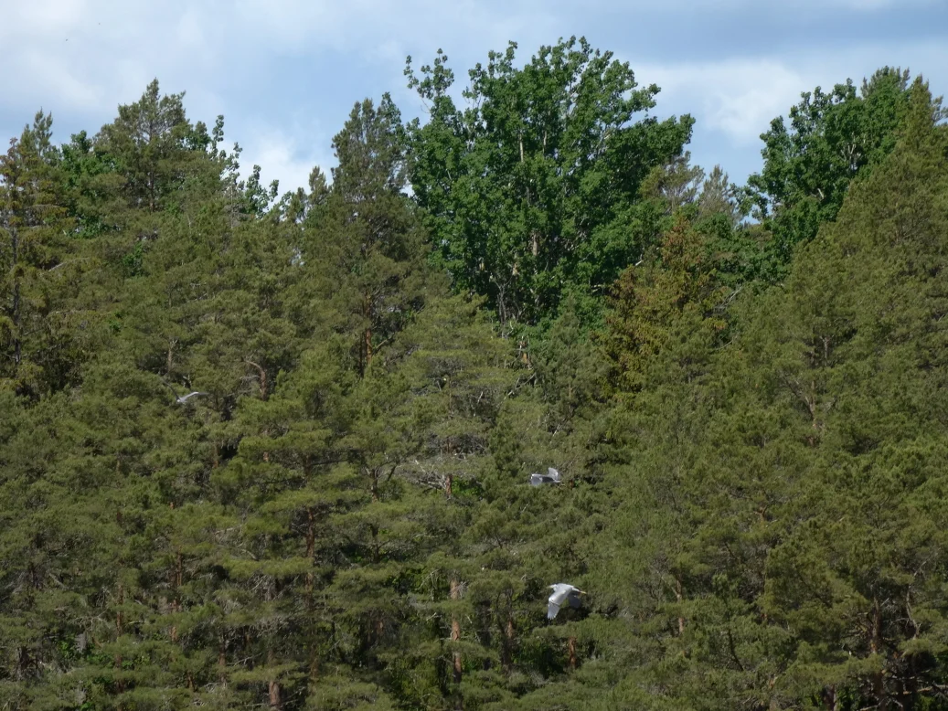 DSC05897bk.jpg