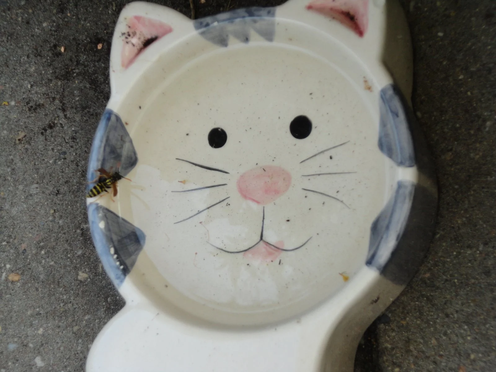 DSC07754.JPG