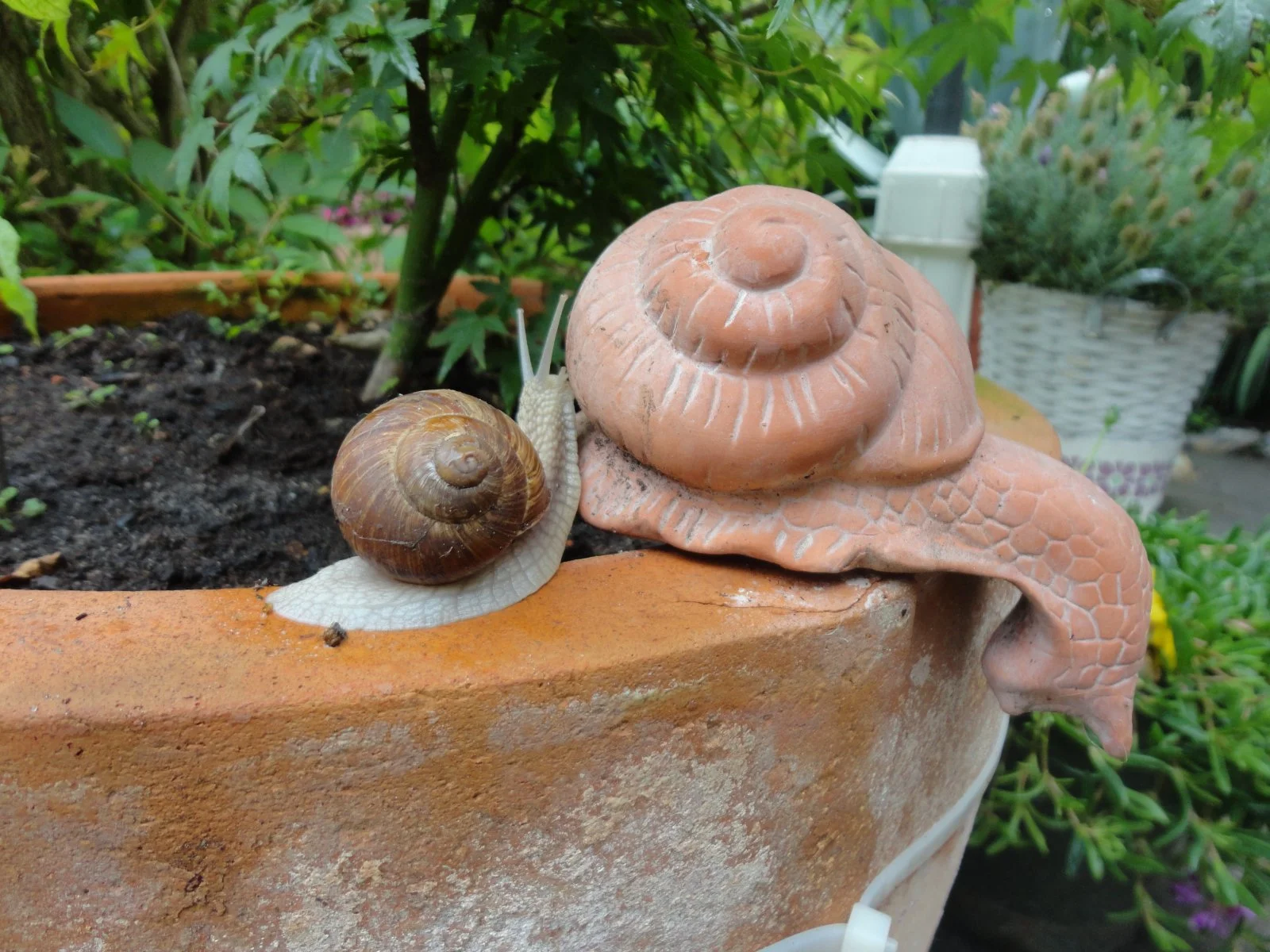 DSC07897.JPG