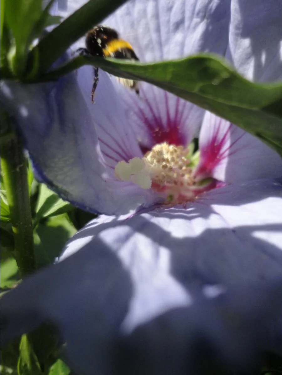 DSC08010.JPG