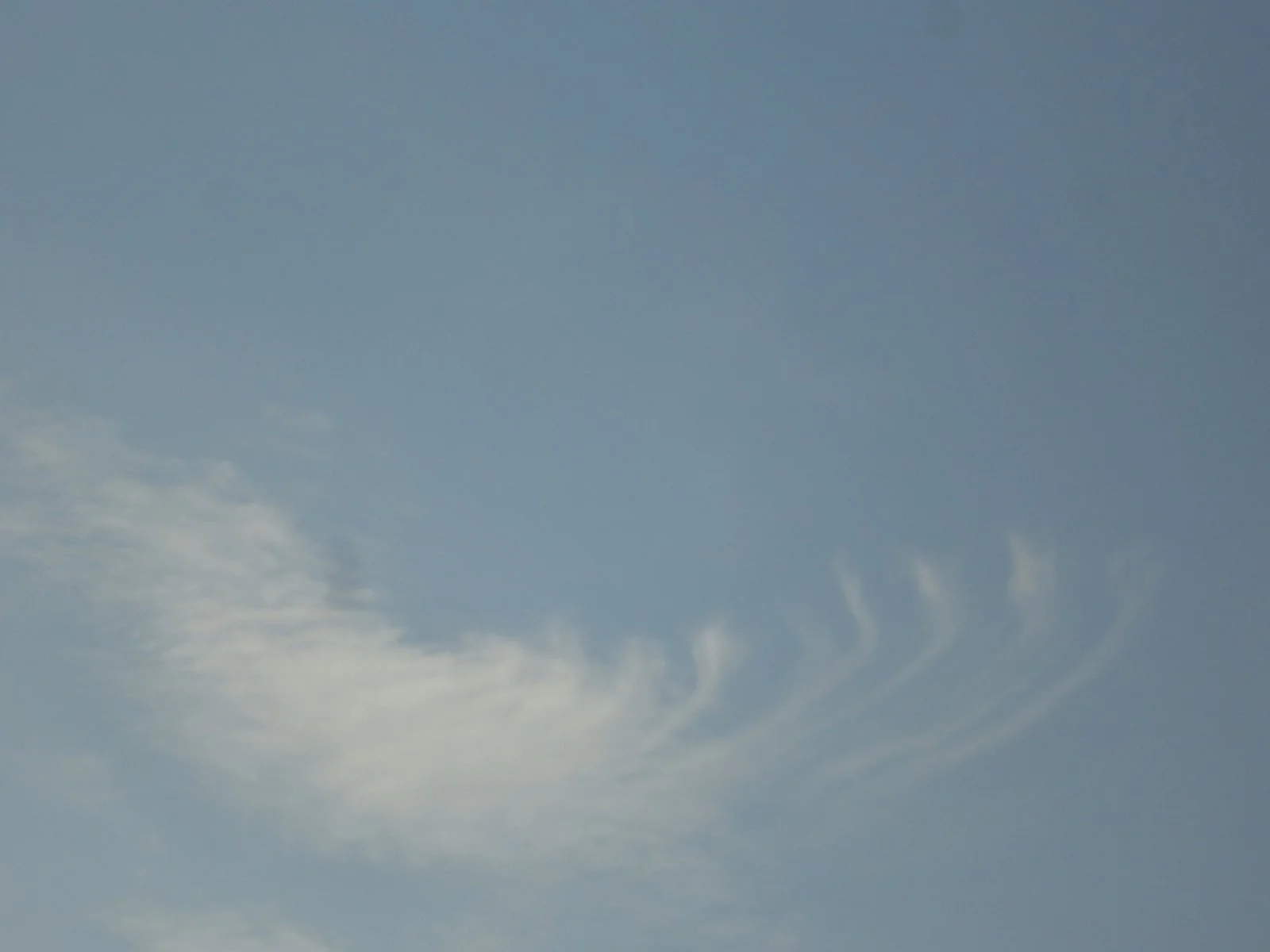DSC08286.JPG