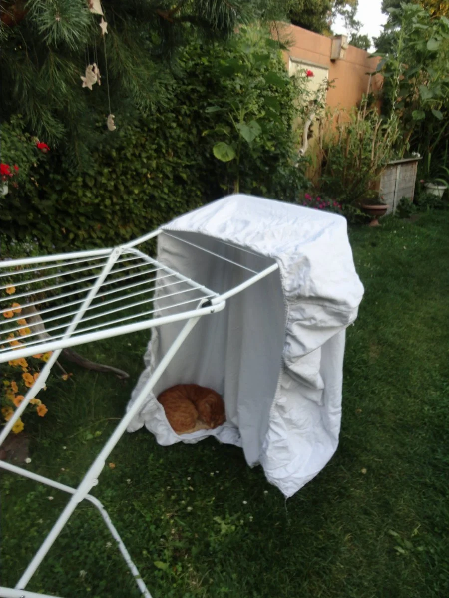 DSC08325.JPG