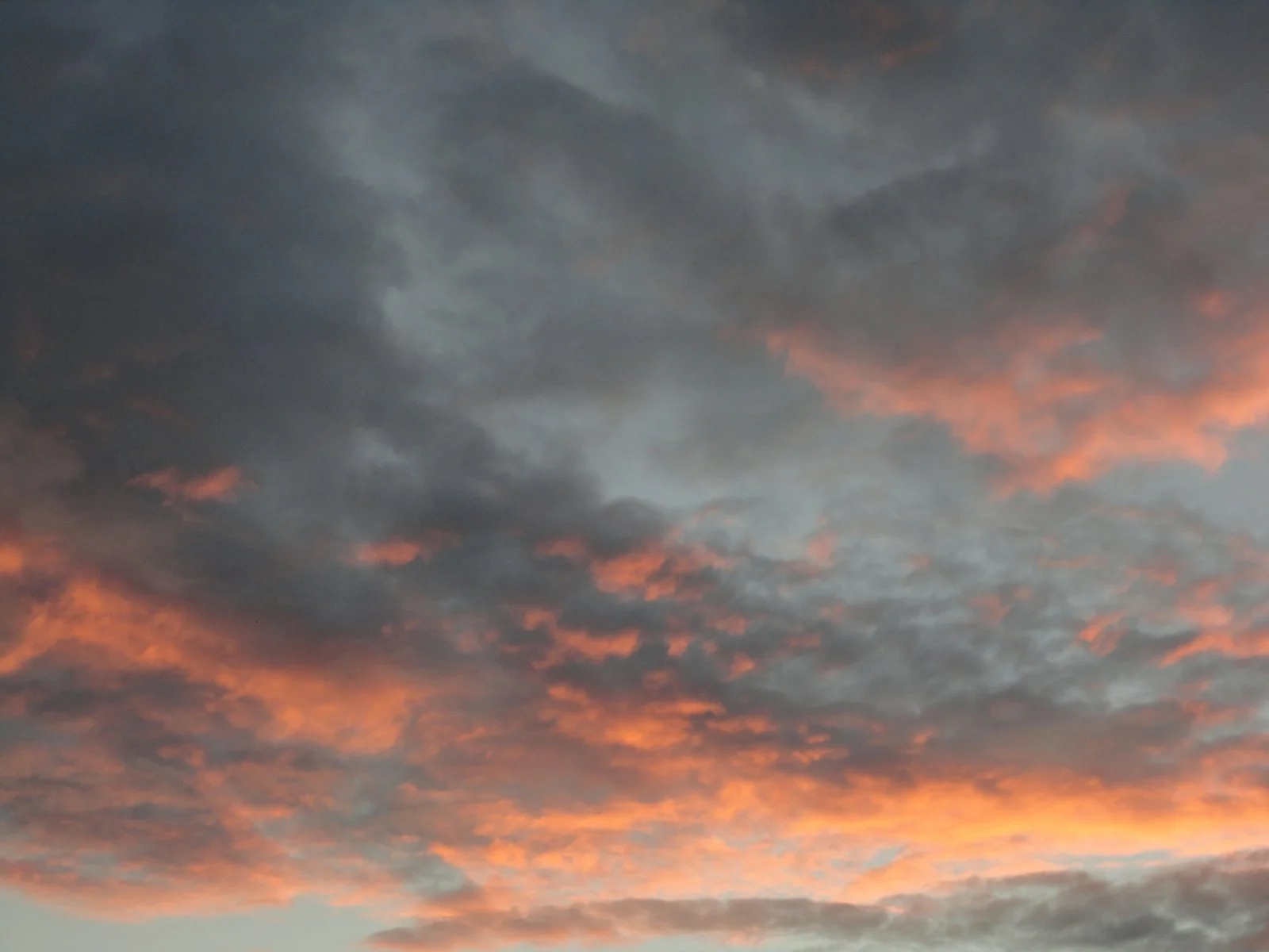 DSC08490.JPG