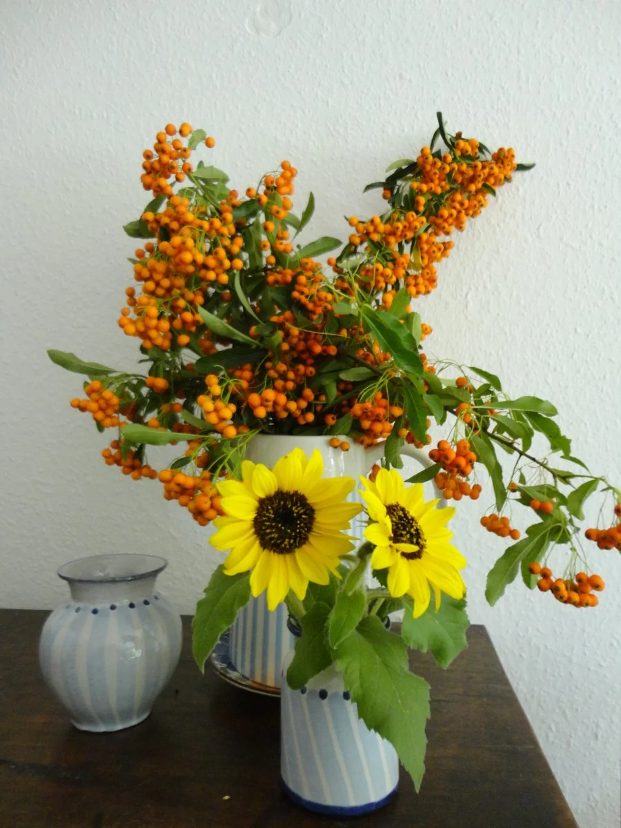 DSC08811.JPG