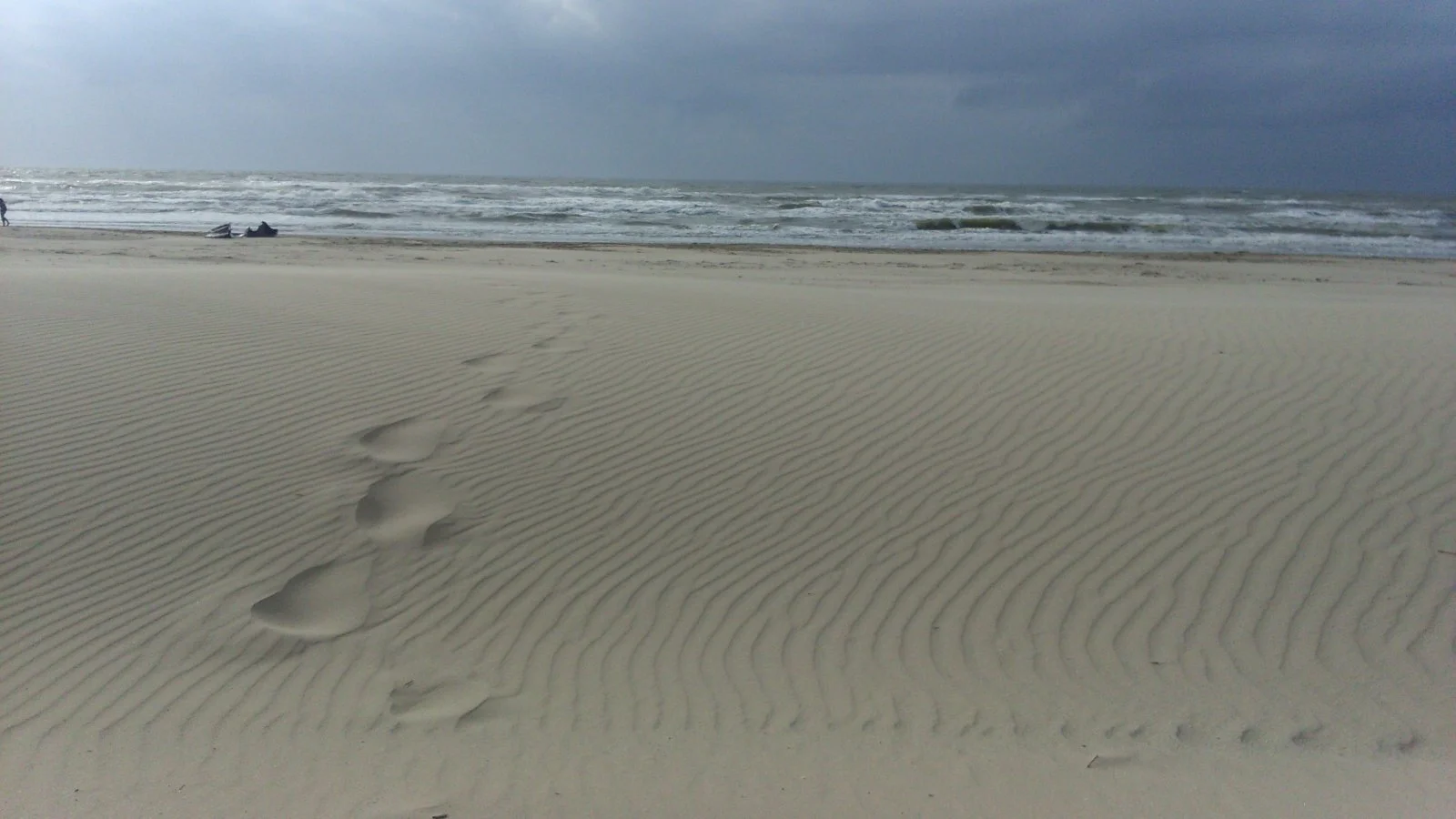 DSC_0107.JPG