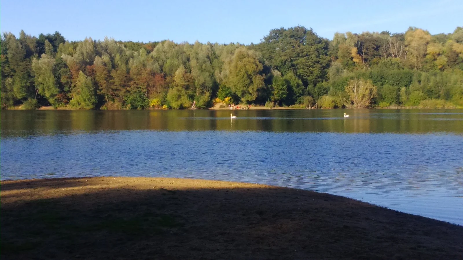 DSC_0153.JPG
