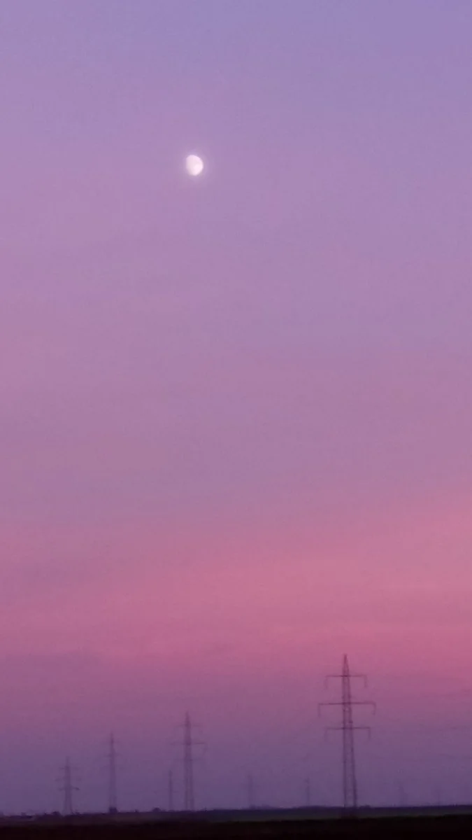 DSC_0454.JPG
