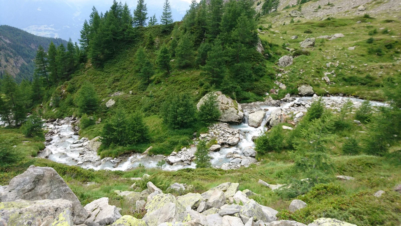 DSC_0478.JPG