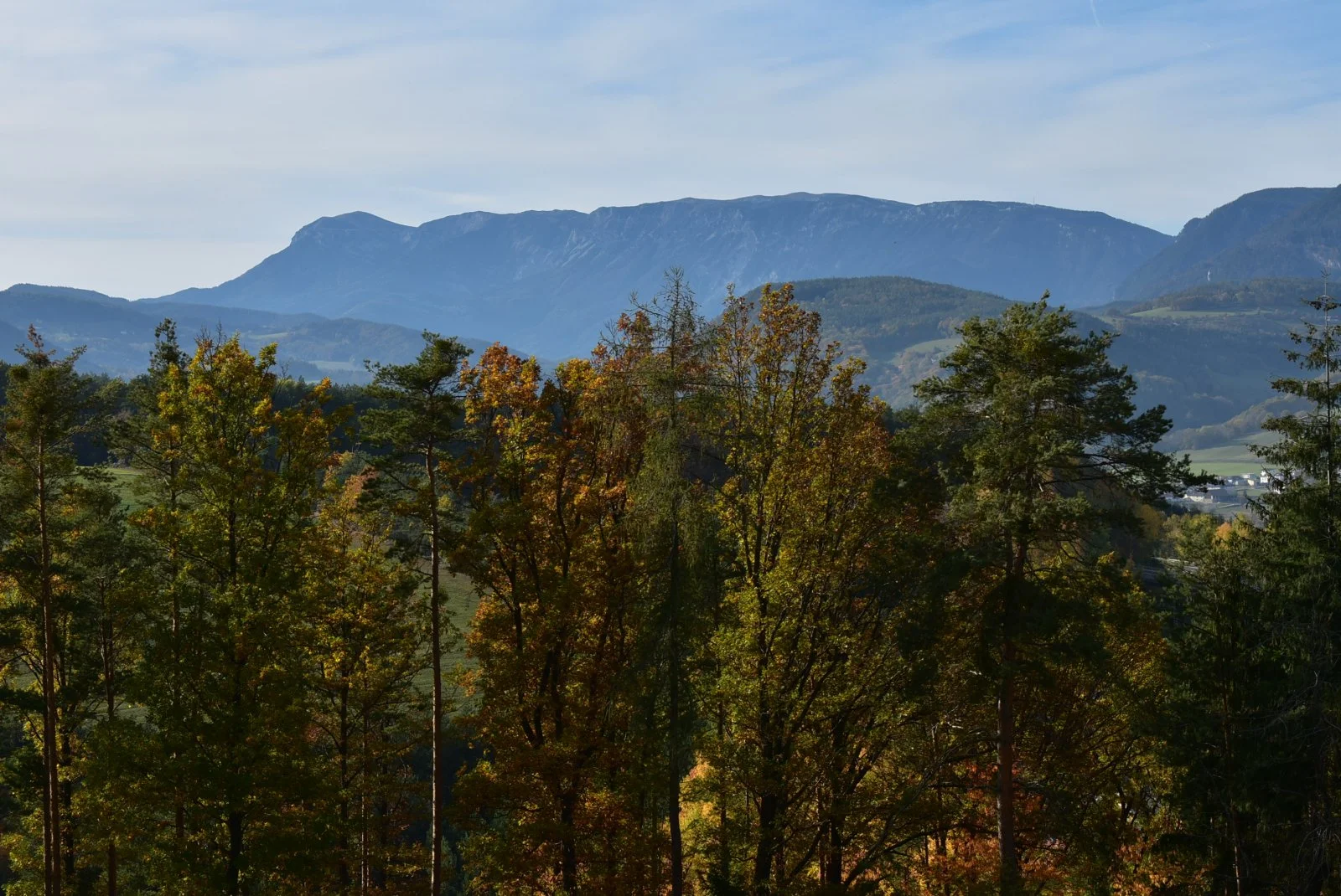 DSC_0749.JPG