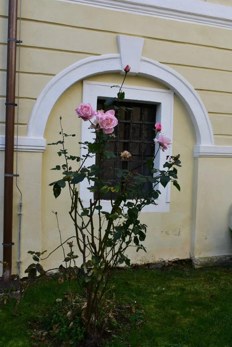 DSC_0827.JPG