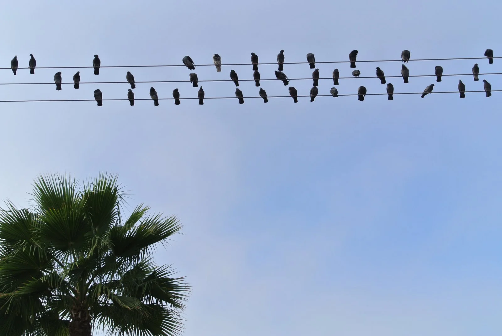 DSC_1674.JPG