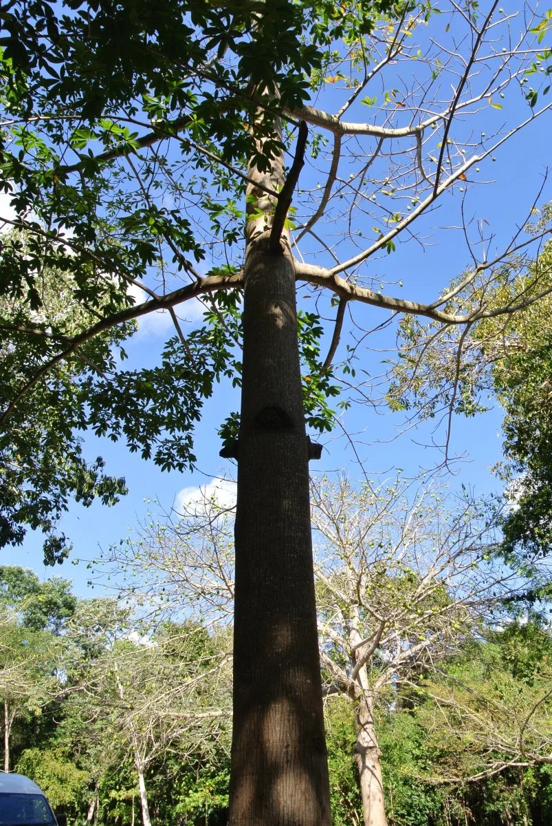 DSC_1745.jpg