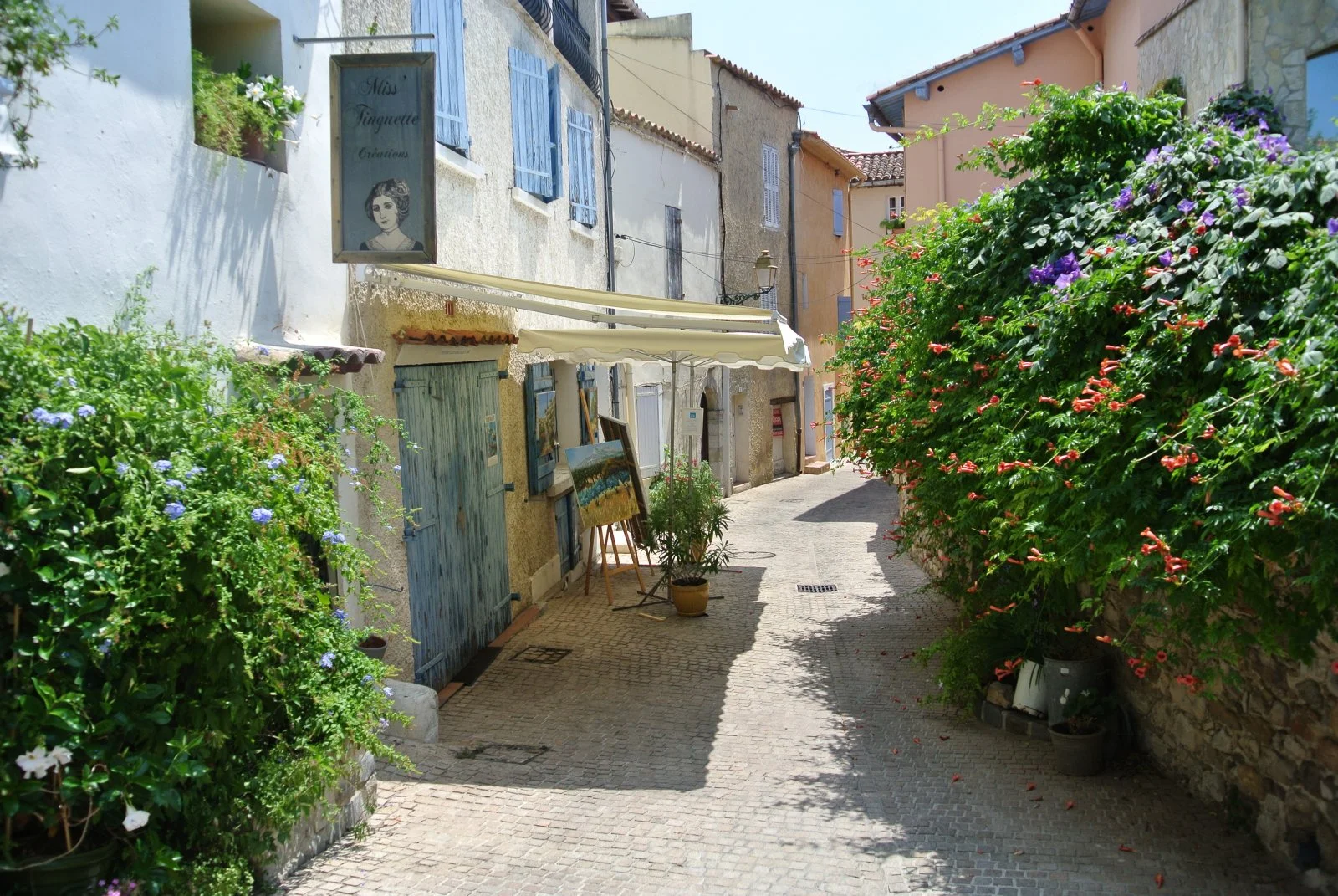 DSC_8141.JPG