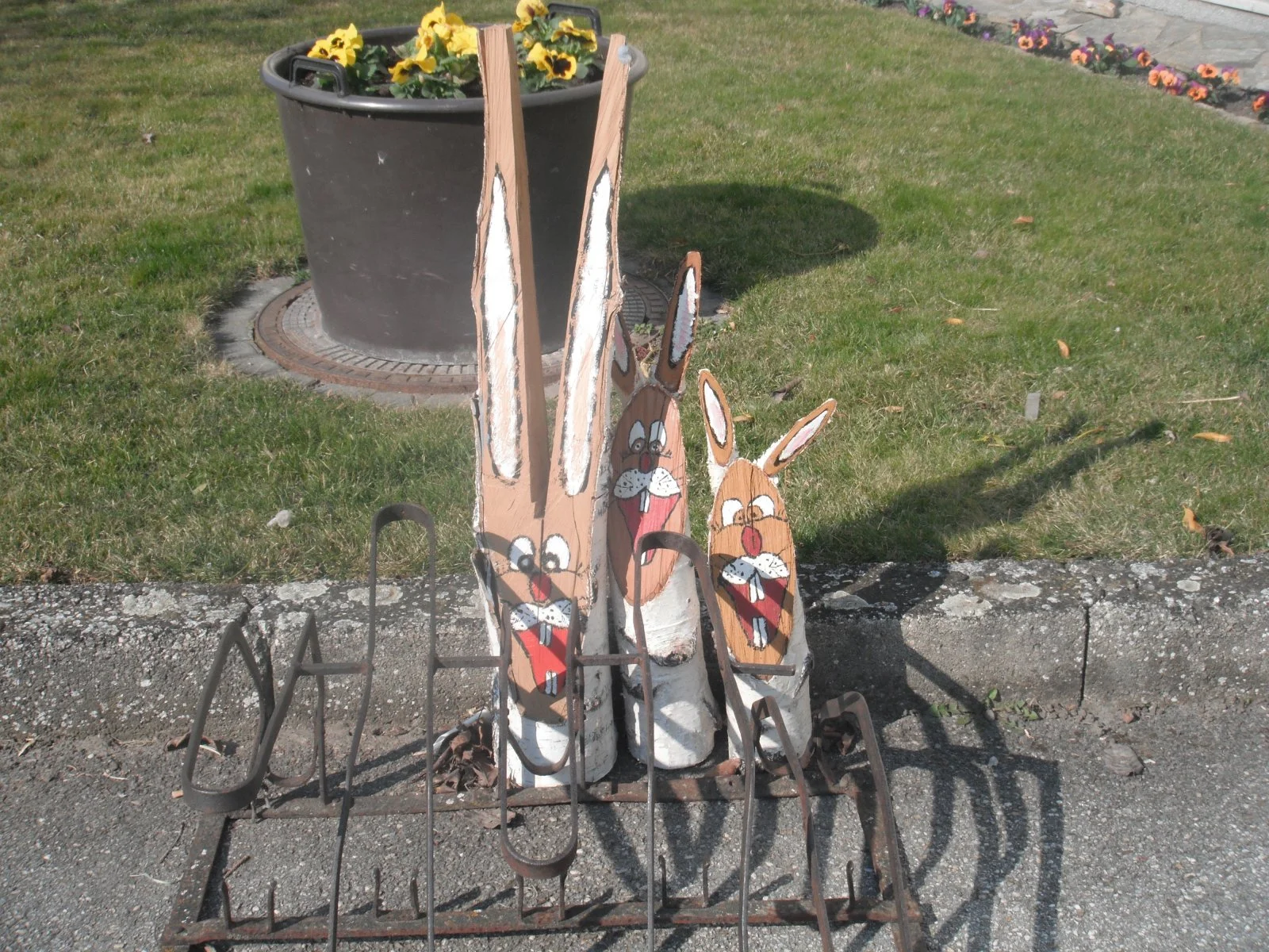 DSCF6462.JPG
