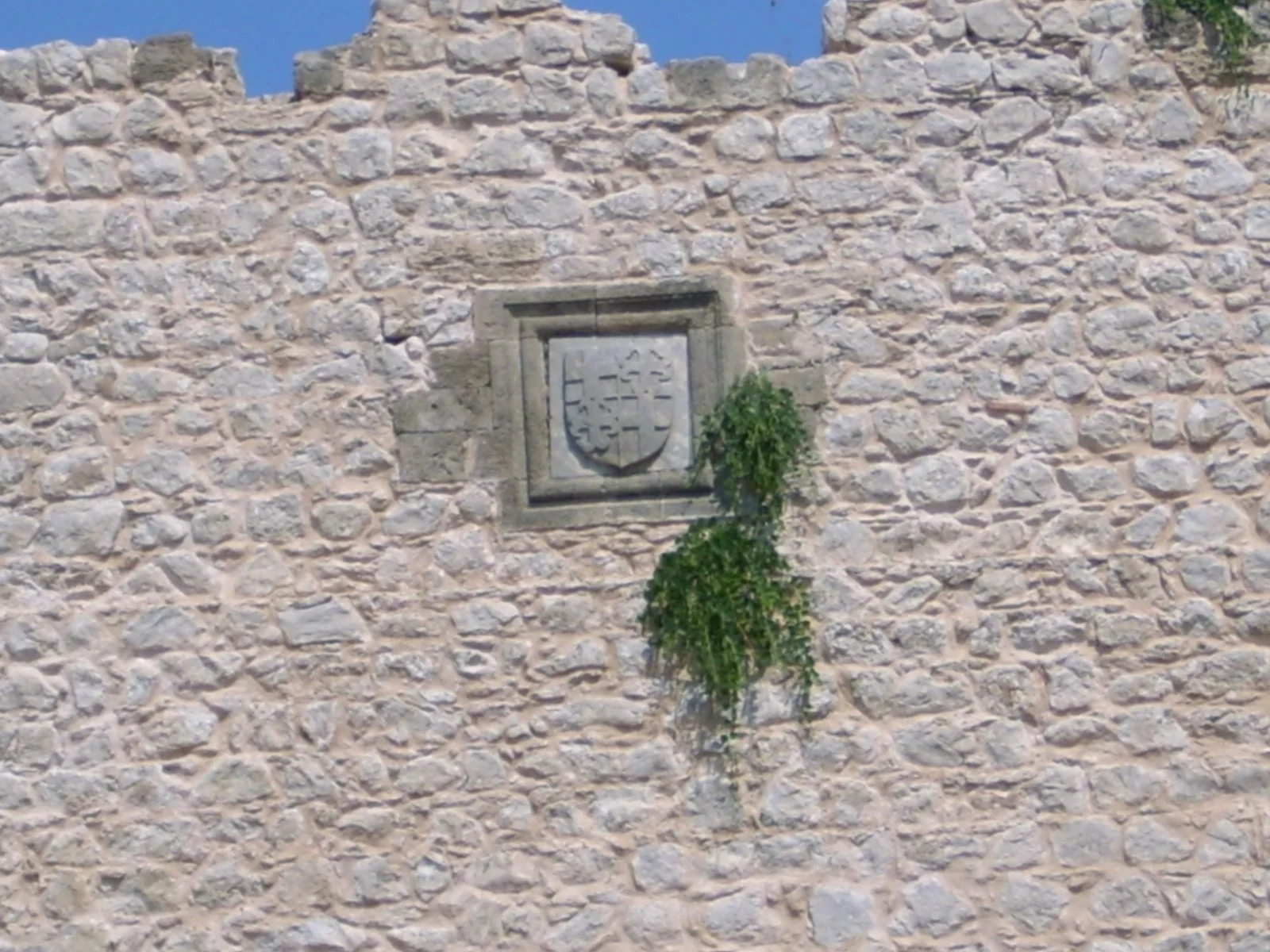 DSCI0021.JPG