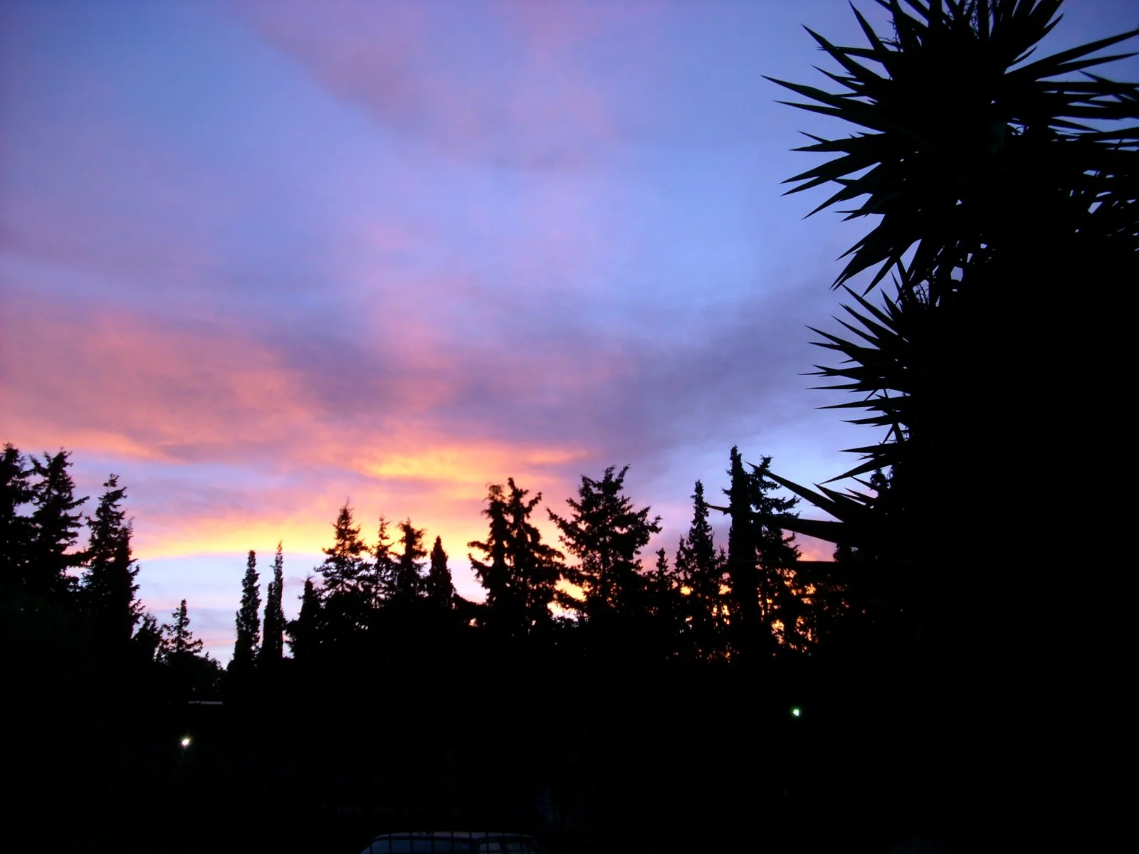 DSCI0027.JPG