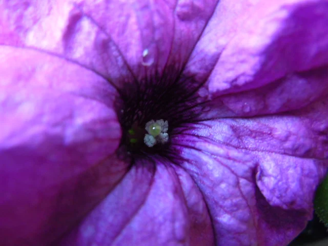 DSCN0042.JPG