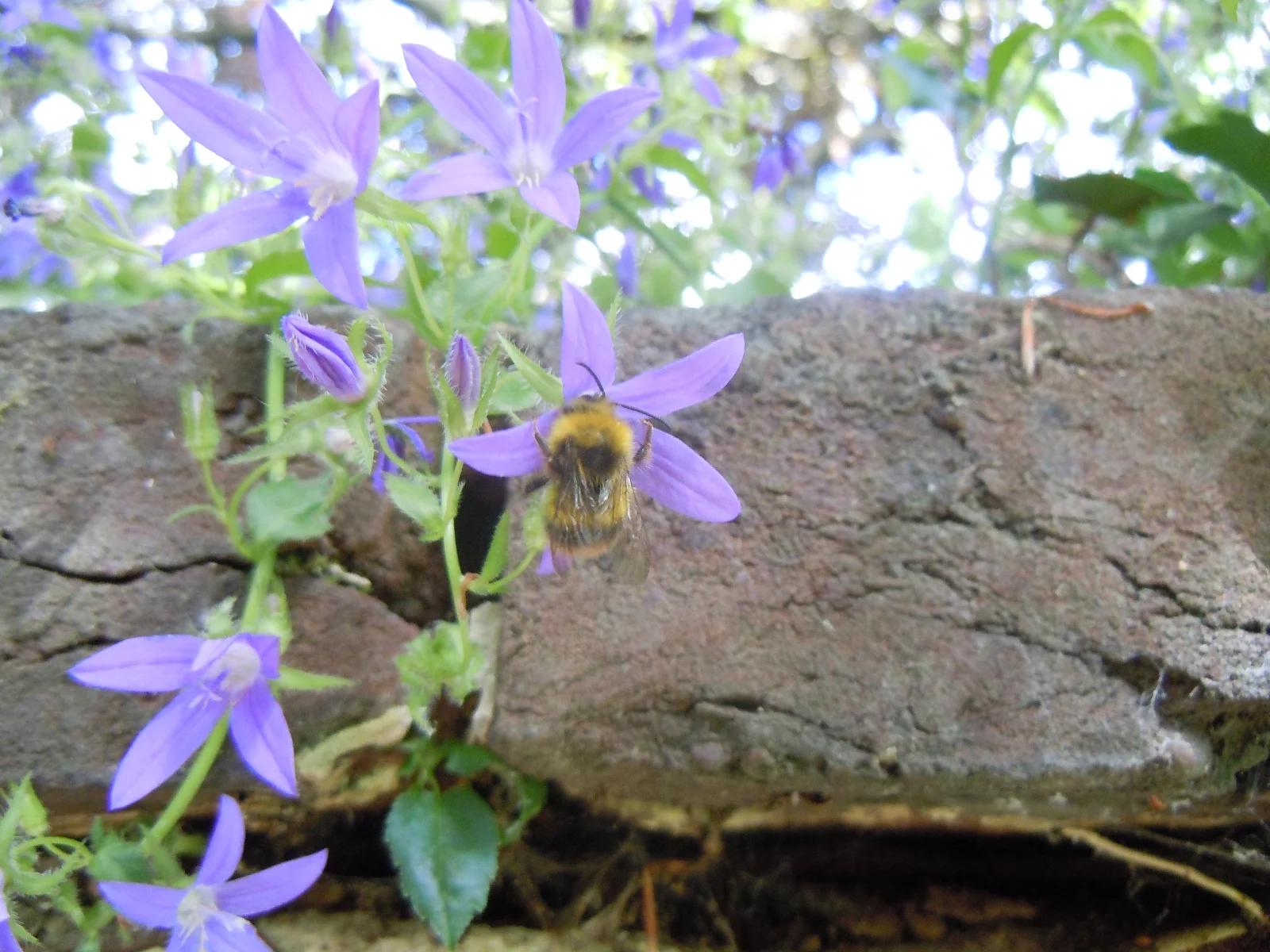 DSCN0044.webp