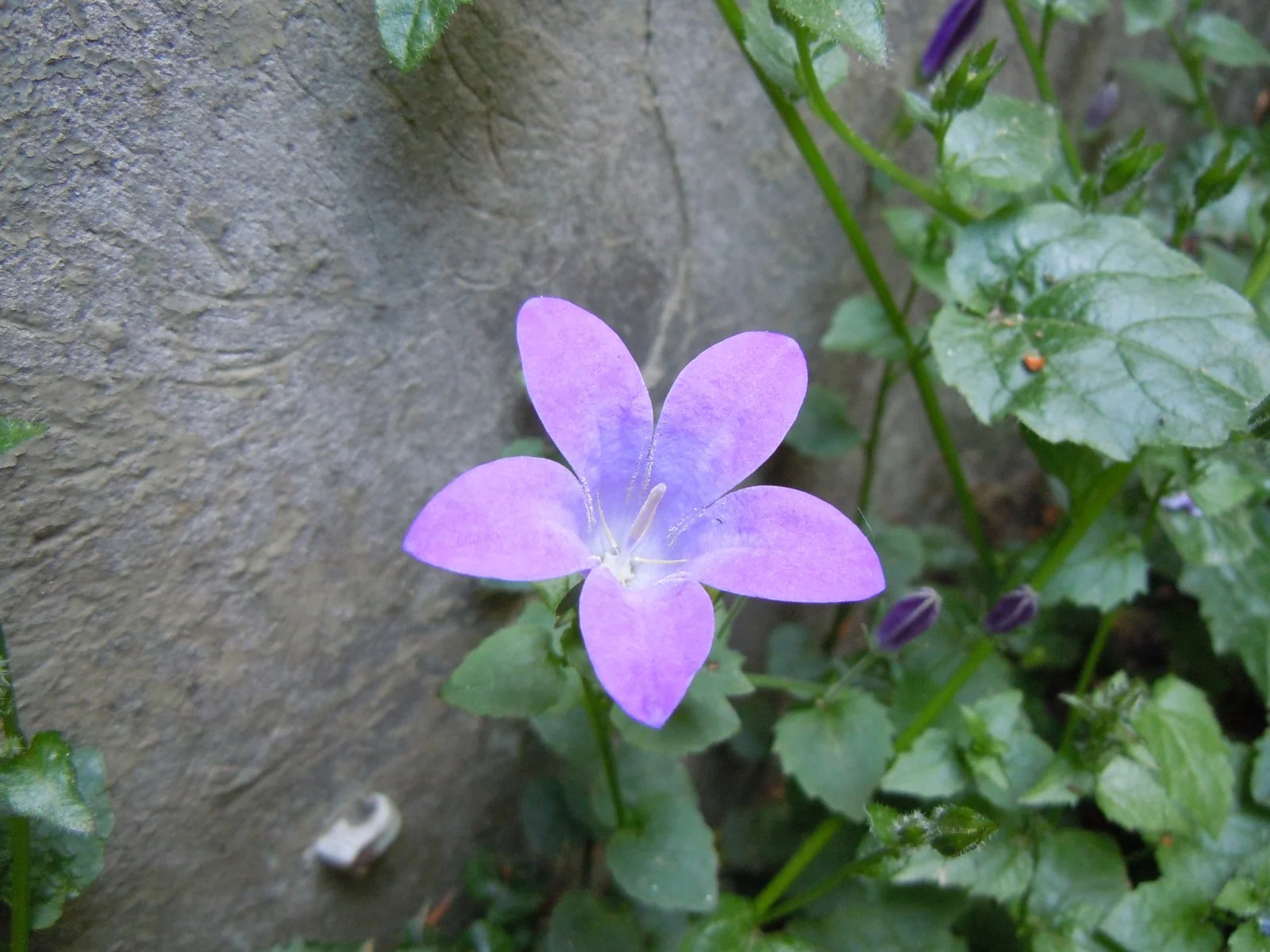 DSCN0126.JPG