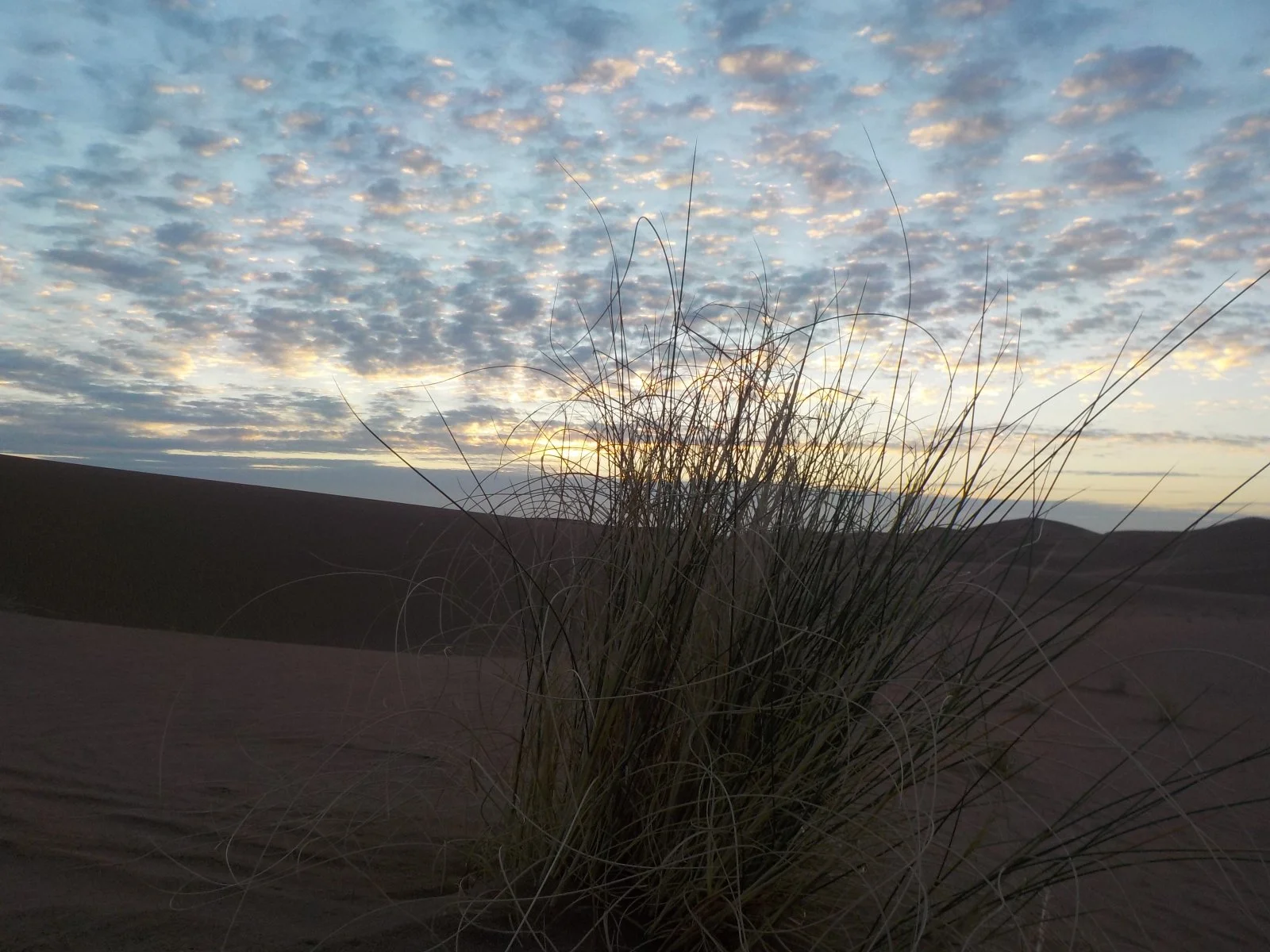 DSCN0174.JPG