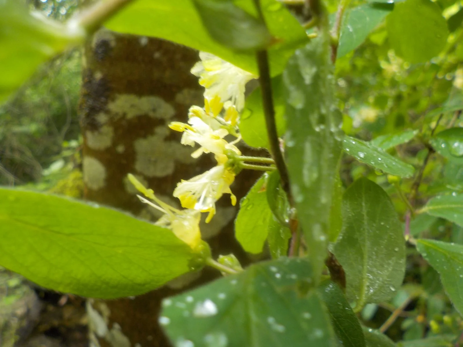 DSCN0553.JPG