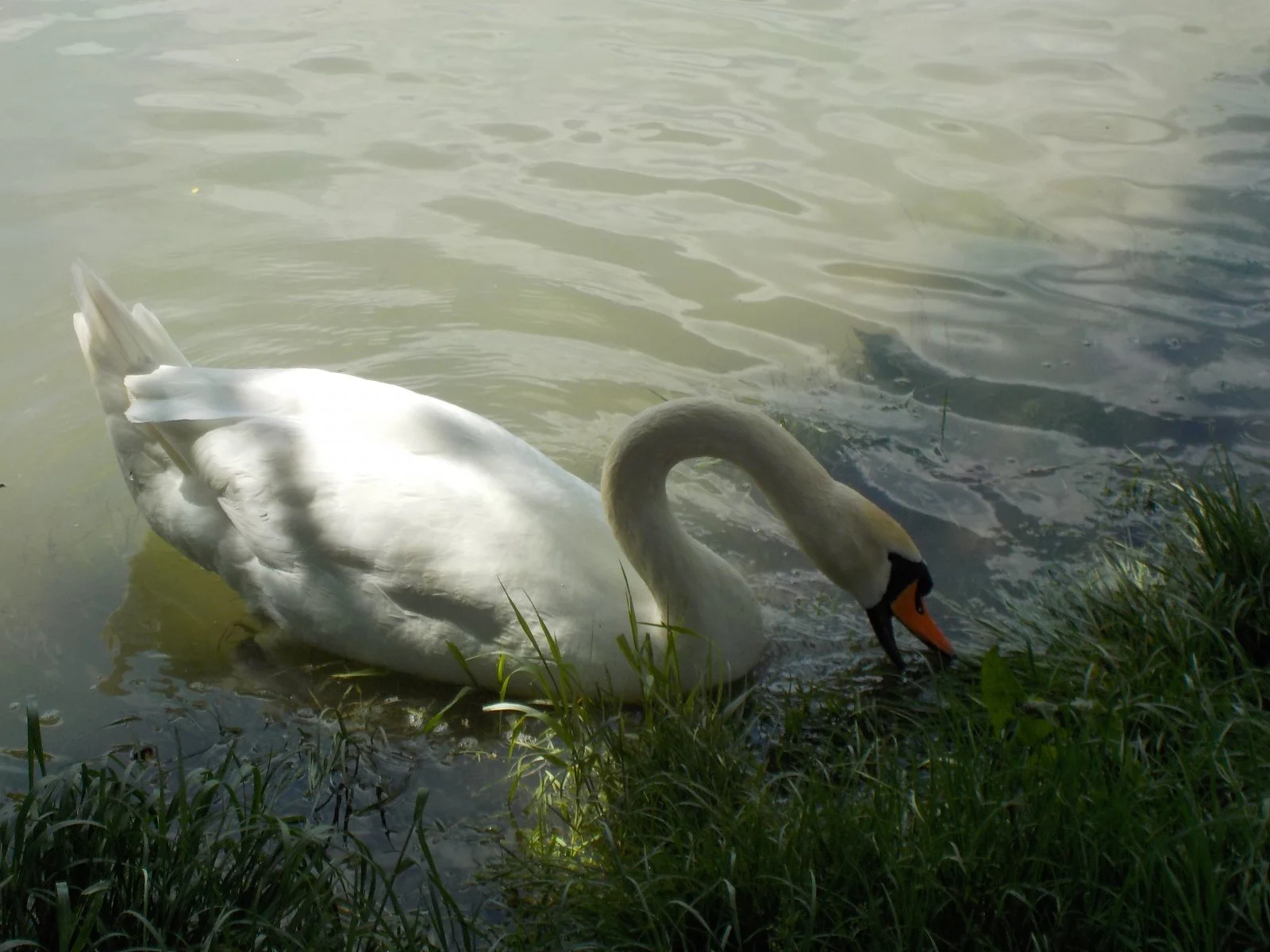 DSCN0880.JPG