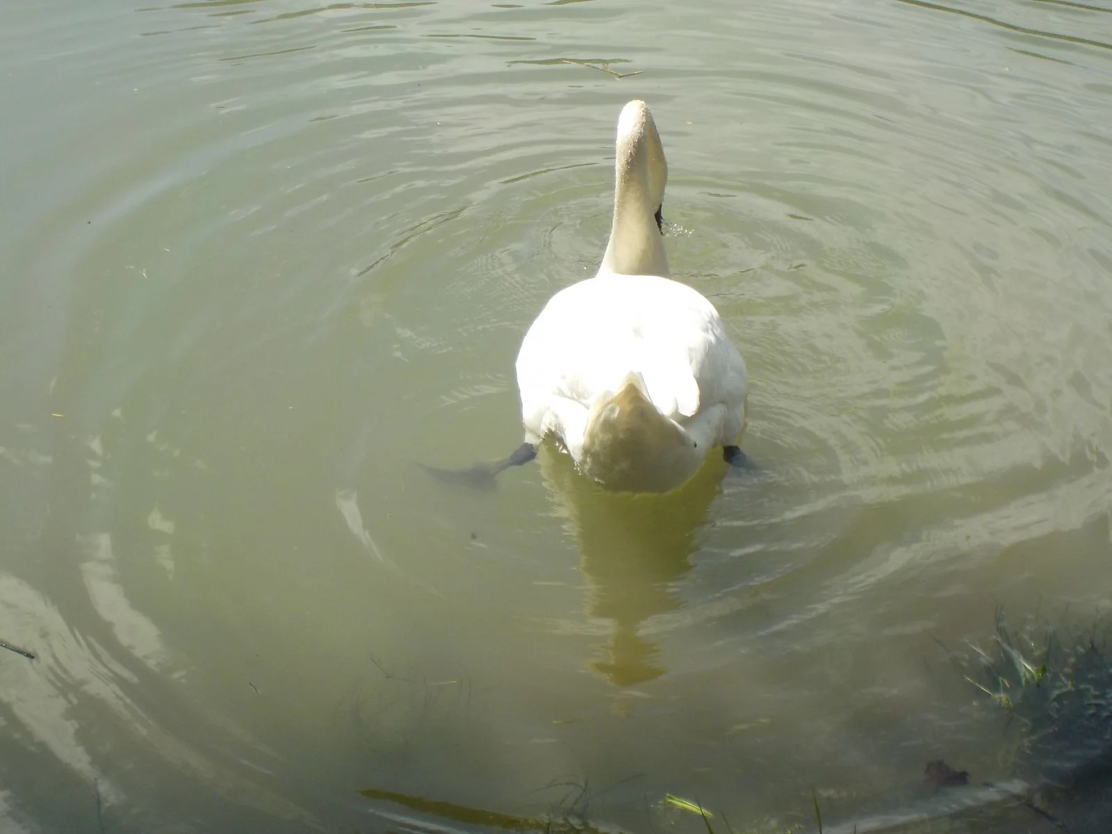 DSCN0882.JPG