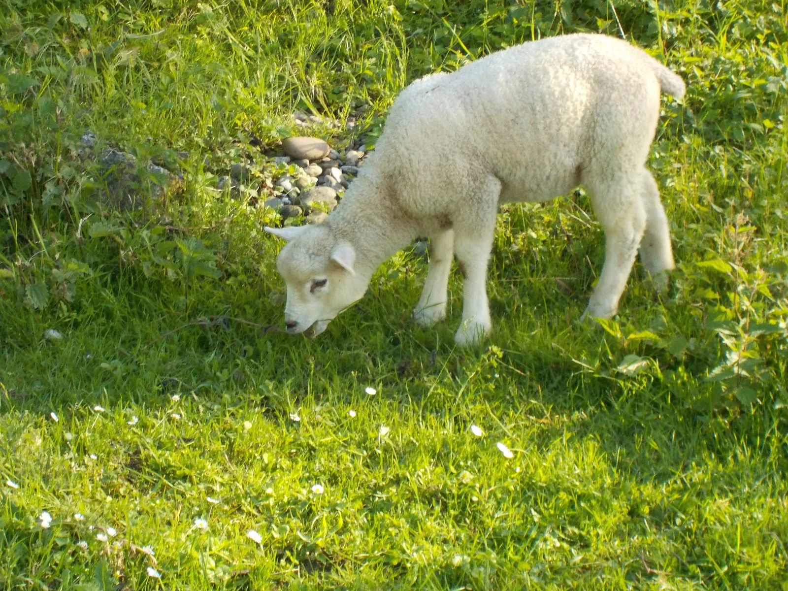 DSCN0937.JPG
