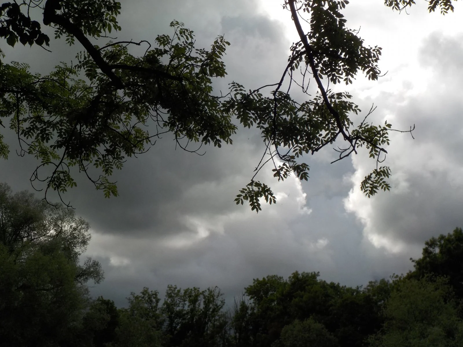 DSCN1017.JPG