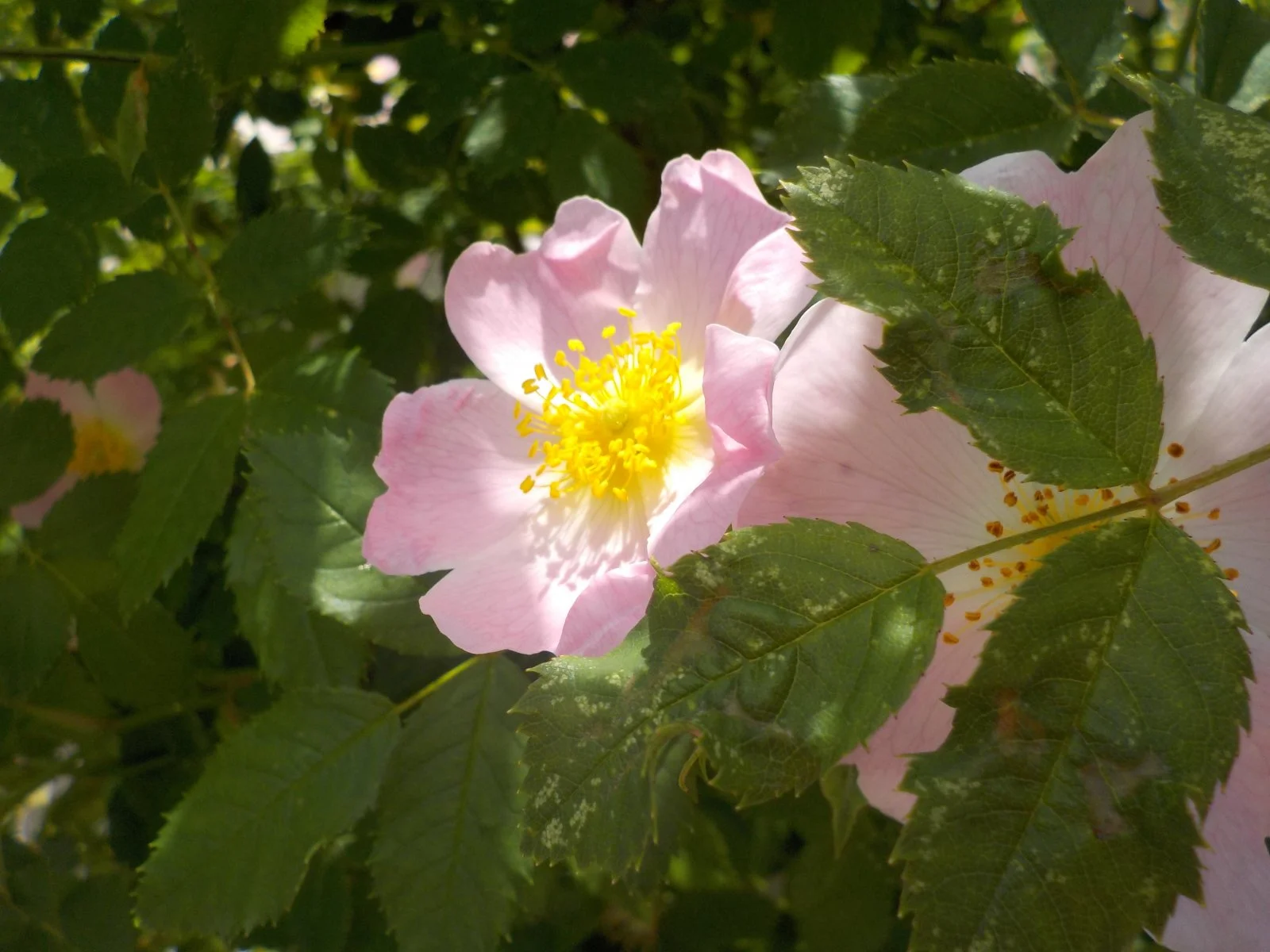 DSCN1143.JPG