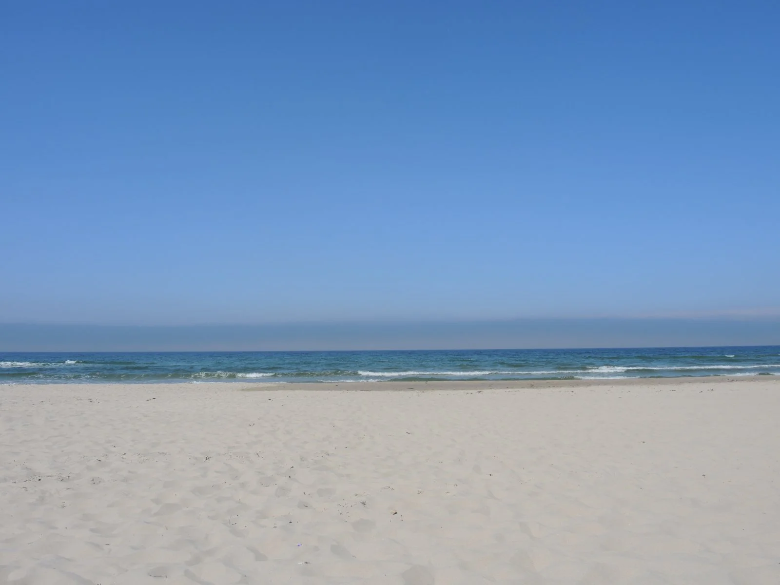 DSCN1431.JPG