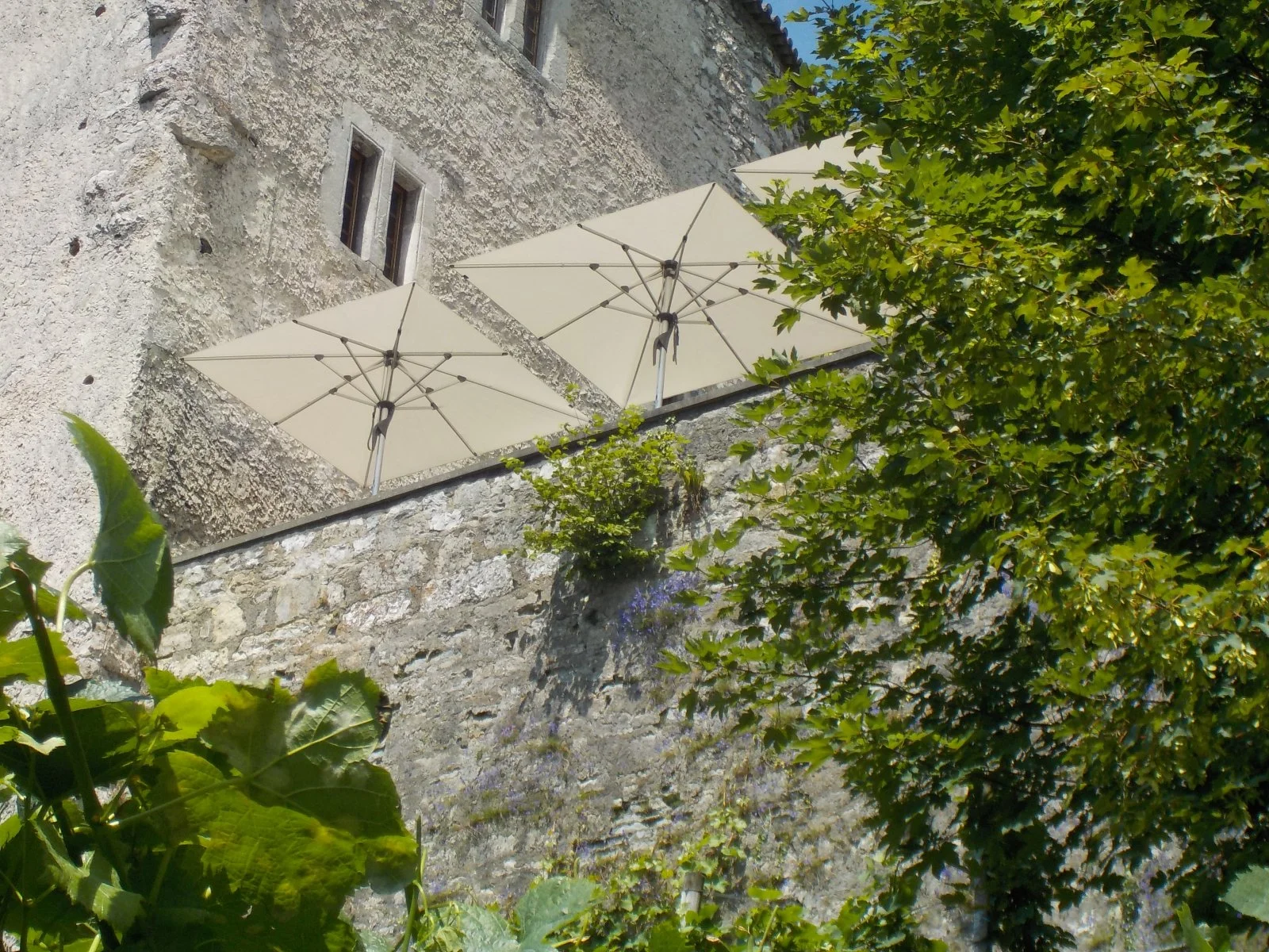 DSCN1664.JPG