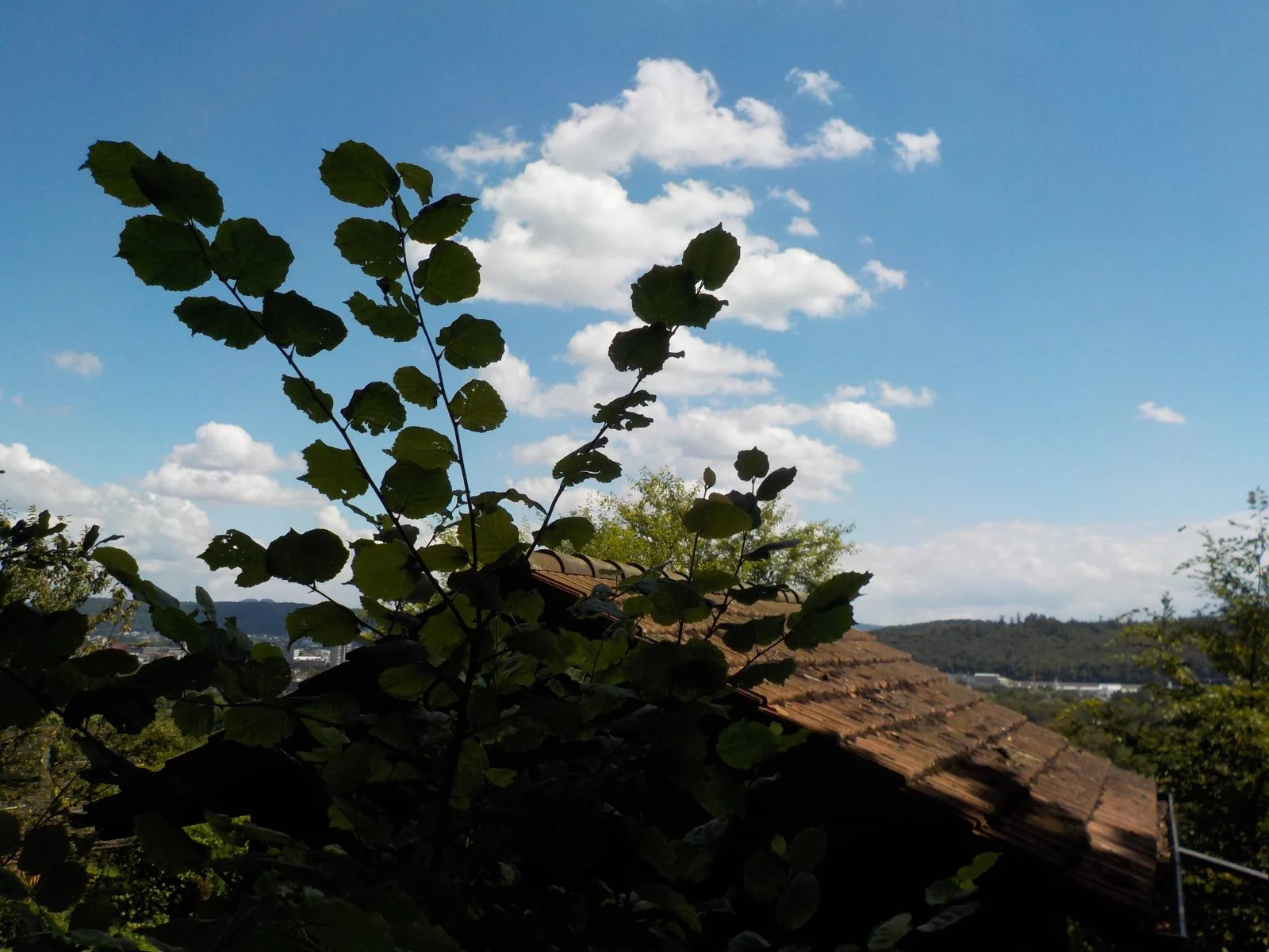 DSCN1783.JPG