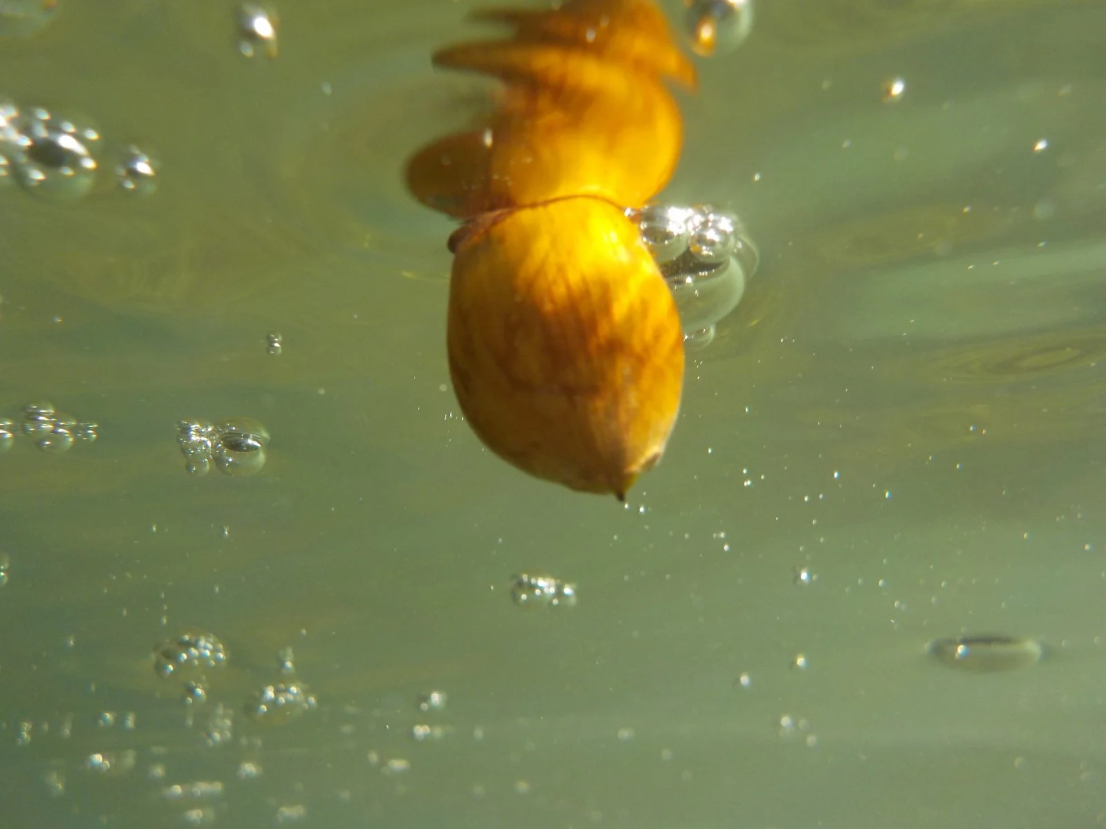 DSCN2055.JPG