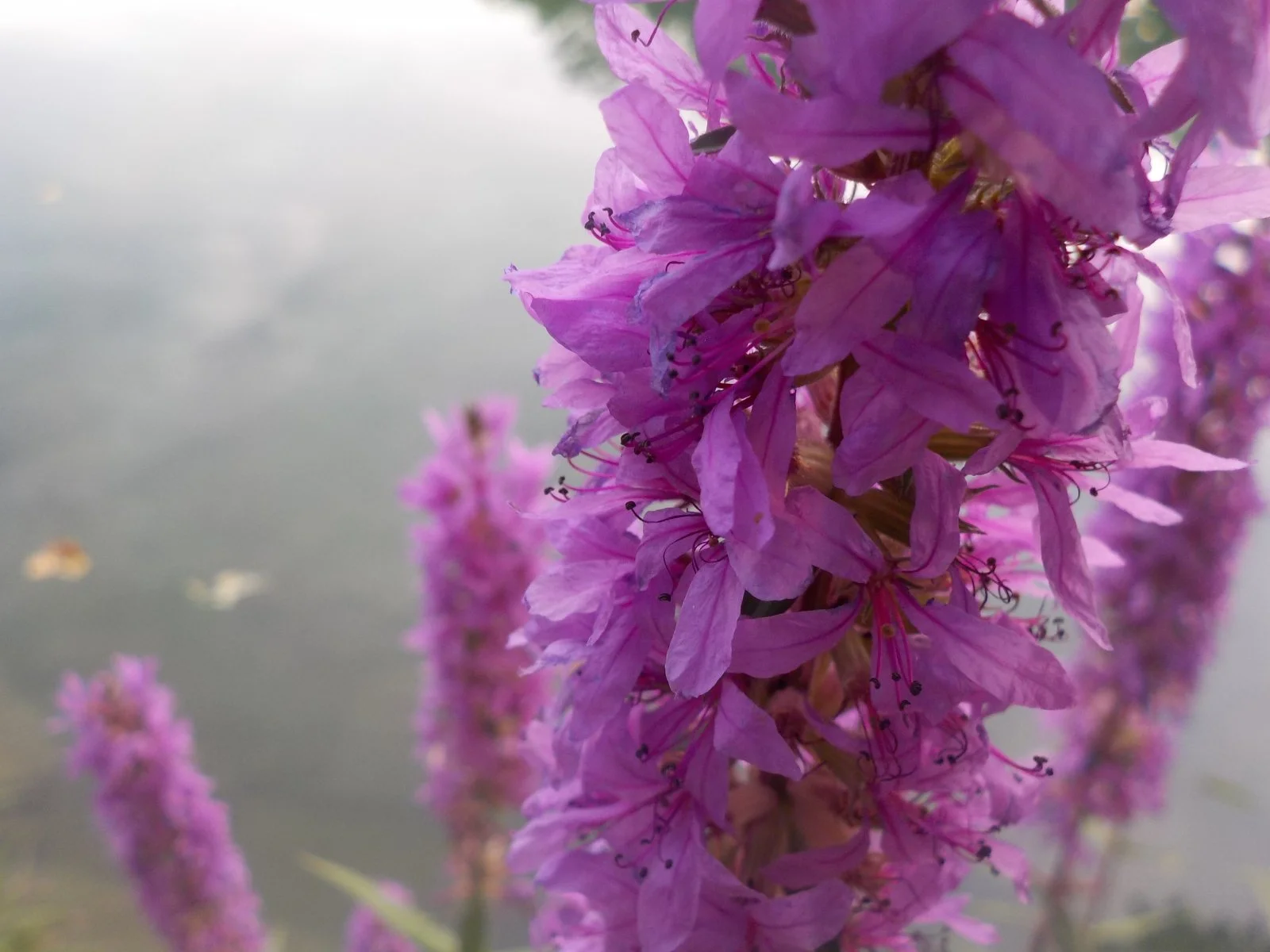 DSCN2074.JPG