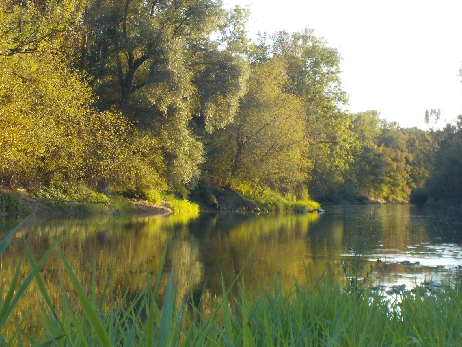 DSCN2155.JPG