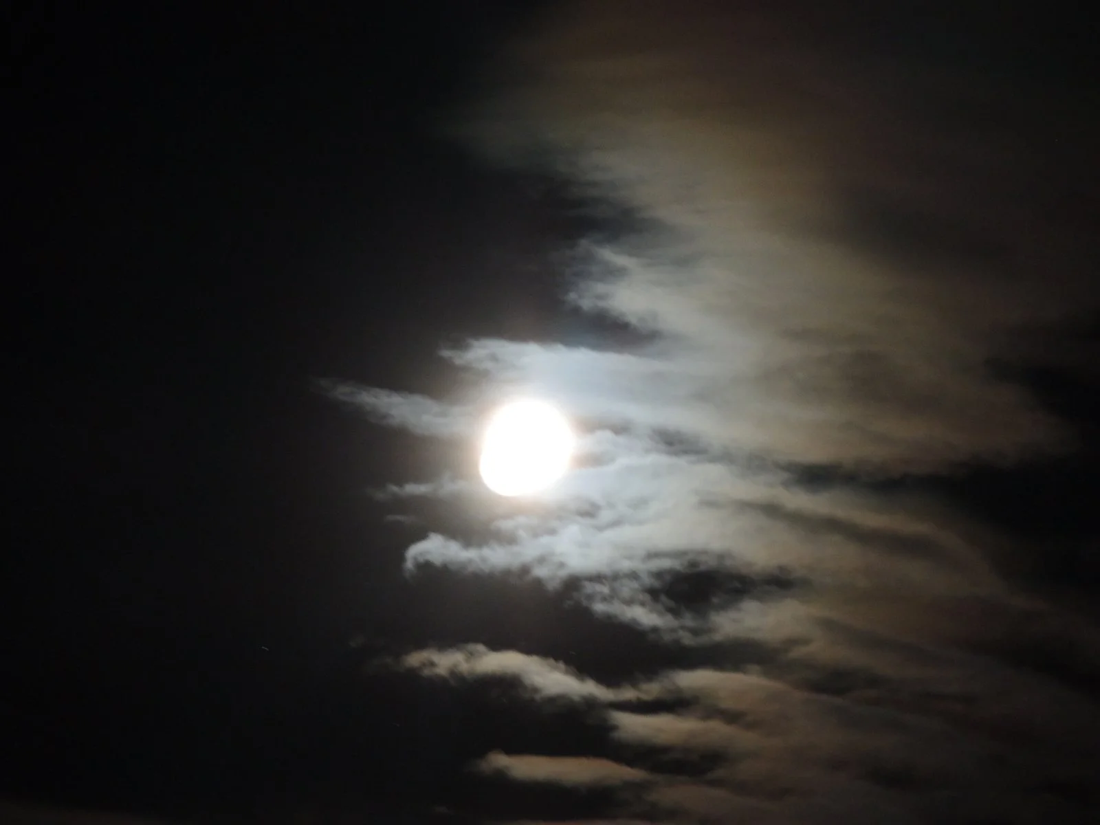 DSCN2201.JPG