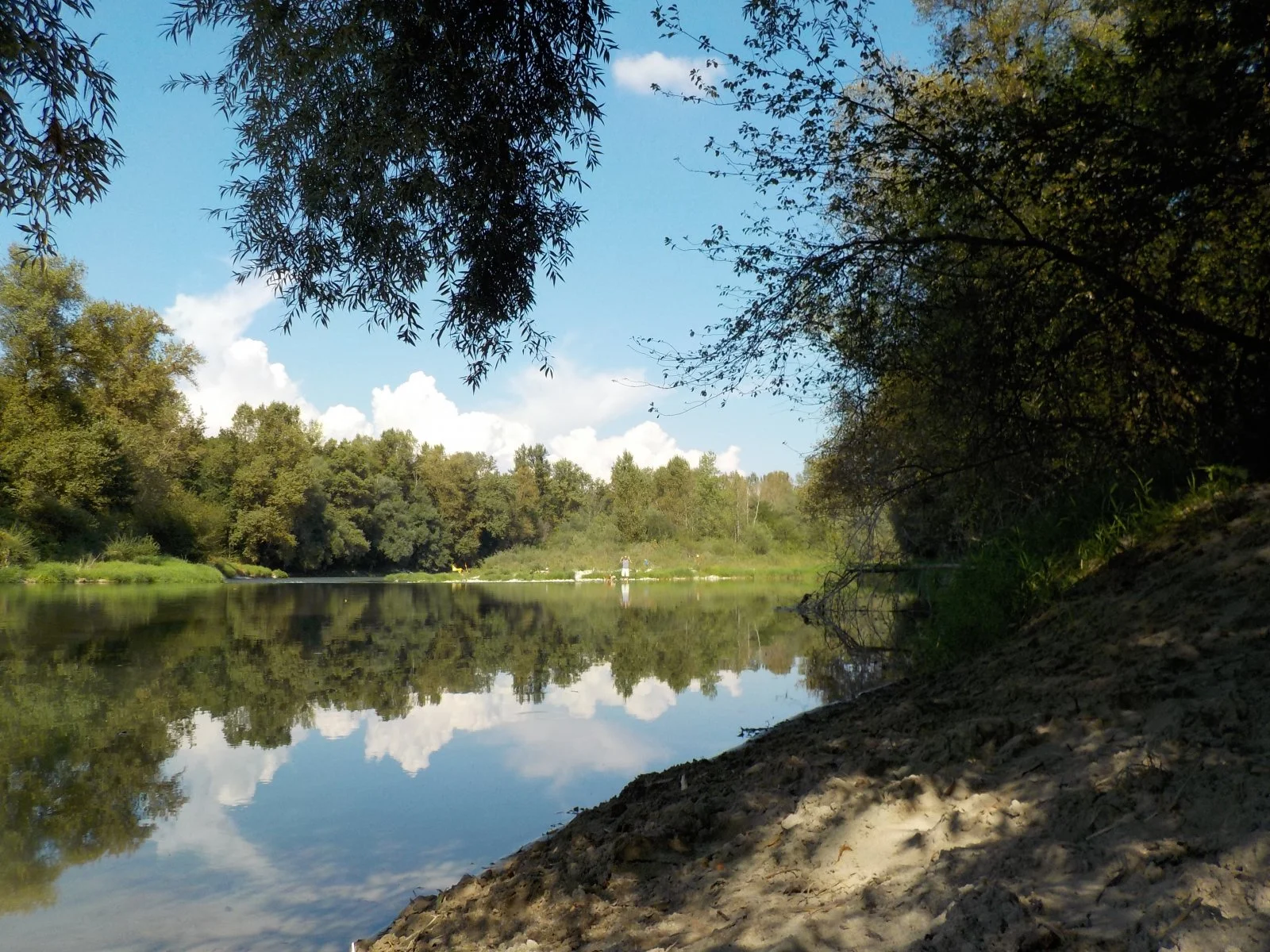 DSCN2222.JPG