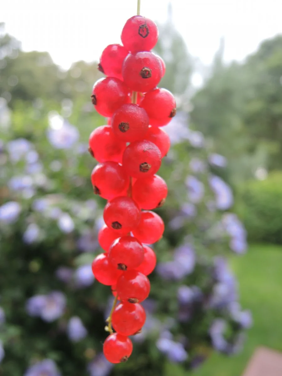 DSCN2269.JPG