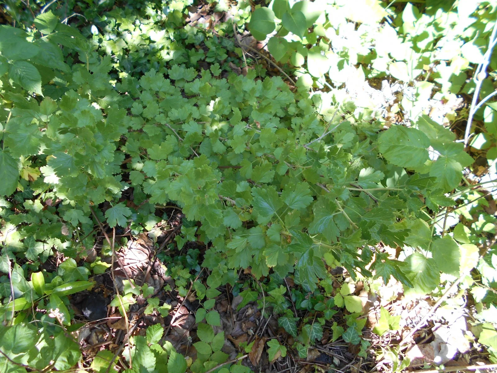 DSCN2349.JPG