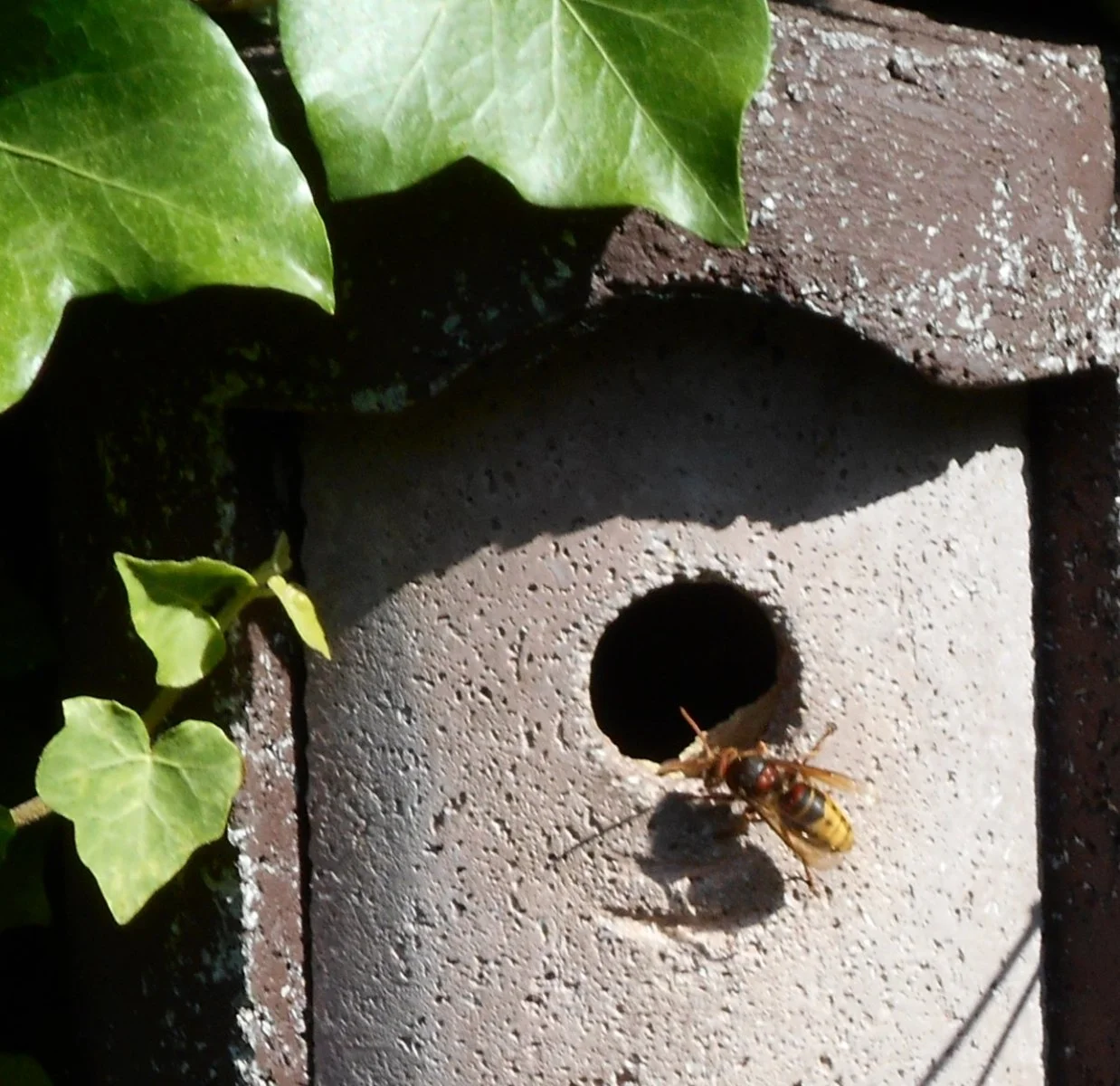 DSCN2354.JPG