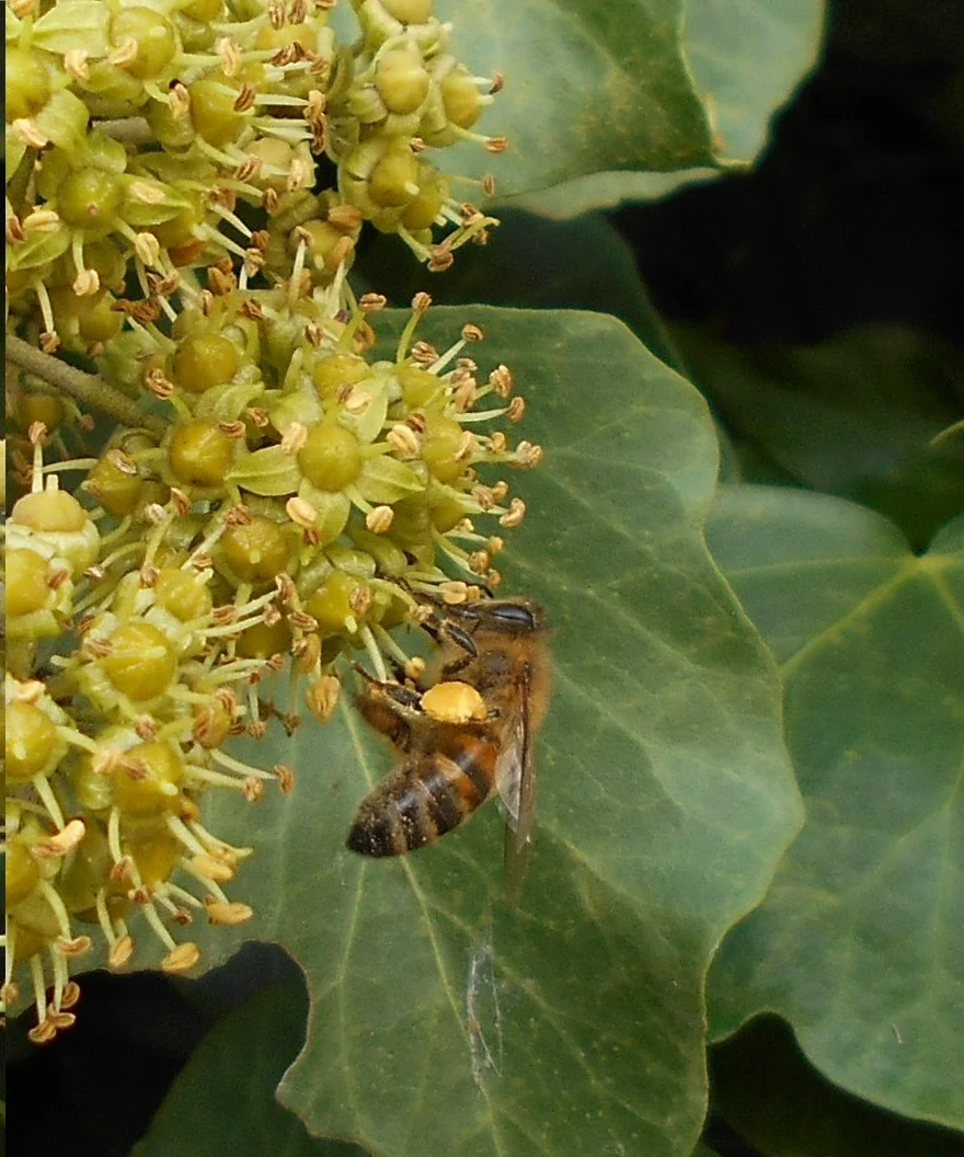 DSCN2395.JPG