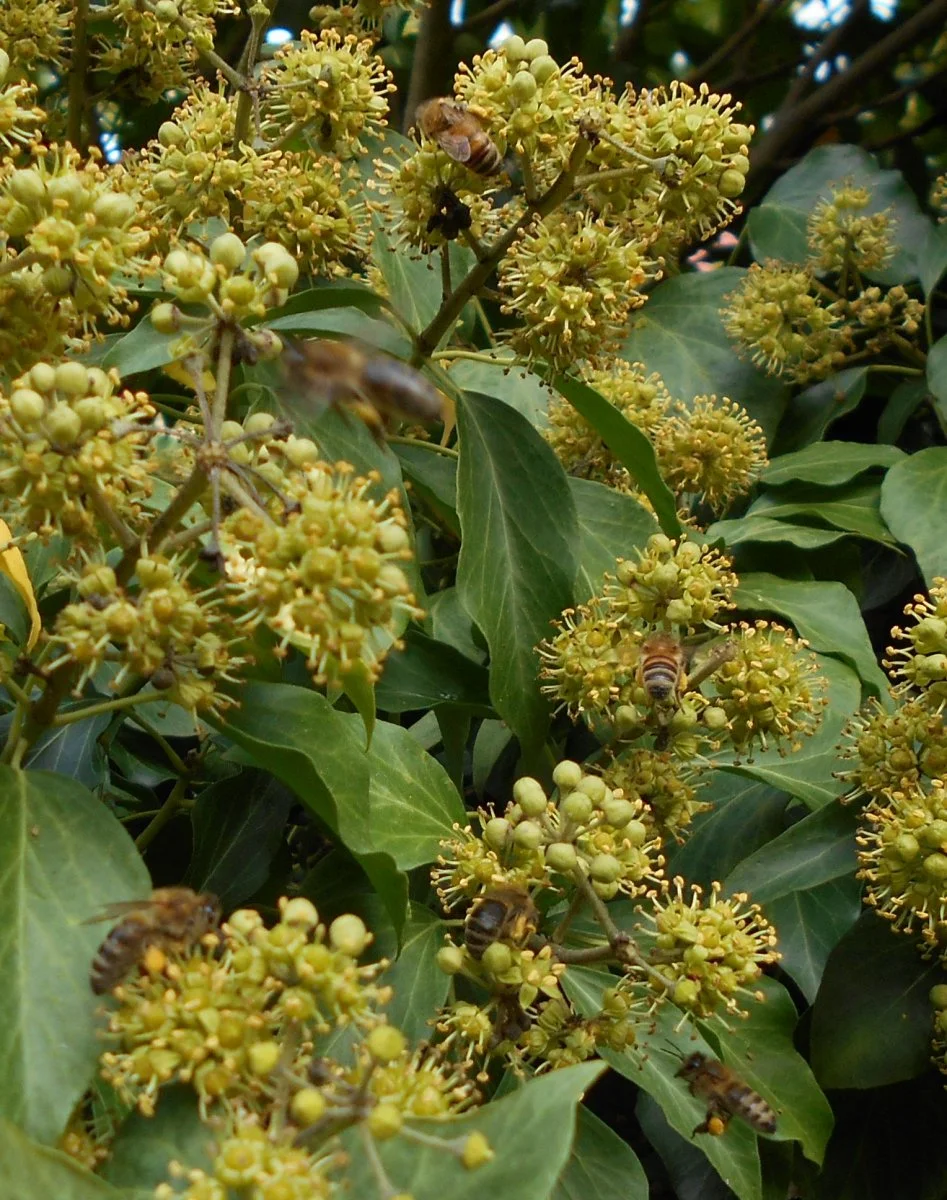 DSCN2400.JPG