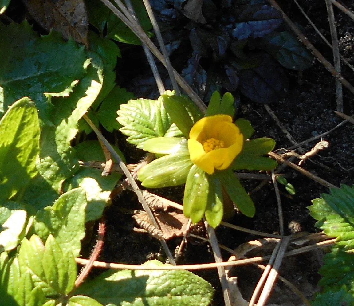 DSCN2417.JPG