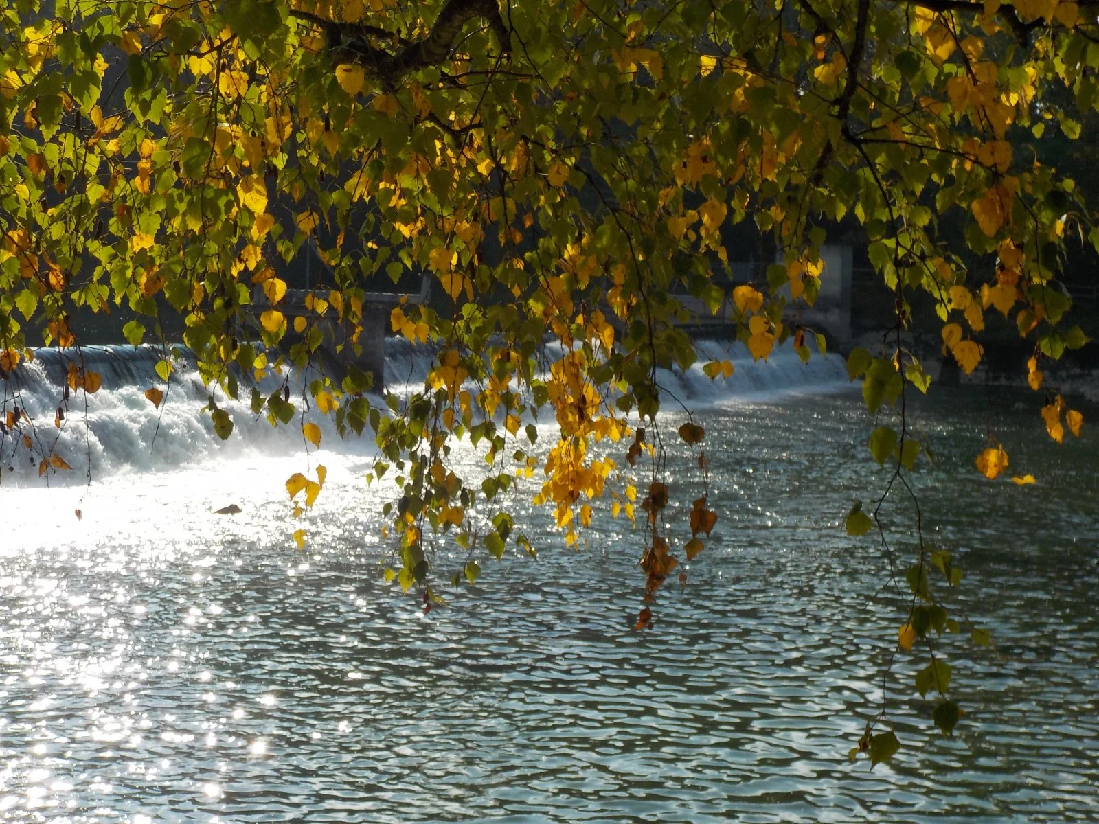 DSCN2538.JPG