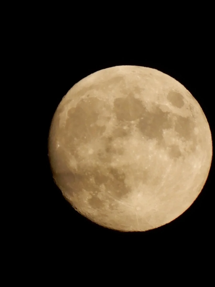 DSCN2540.JPG