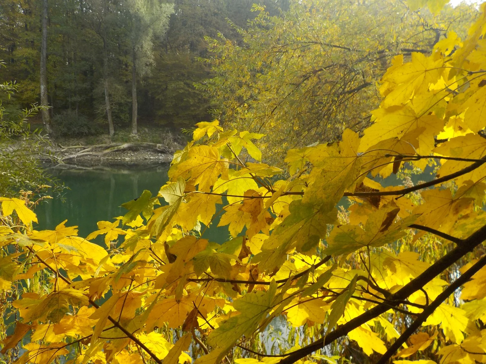 DSCN2556.JPG